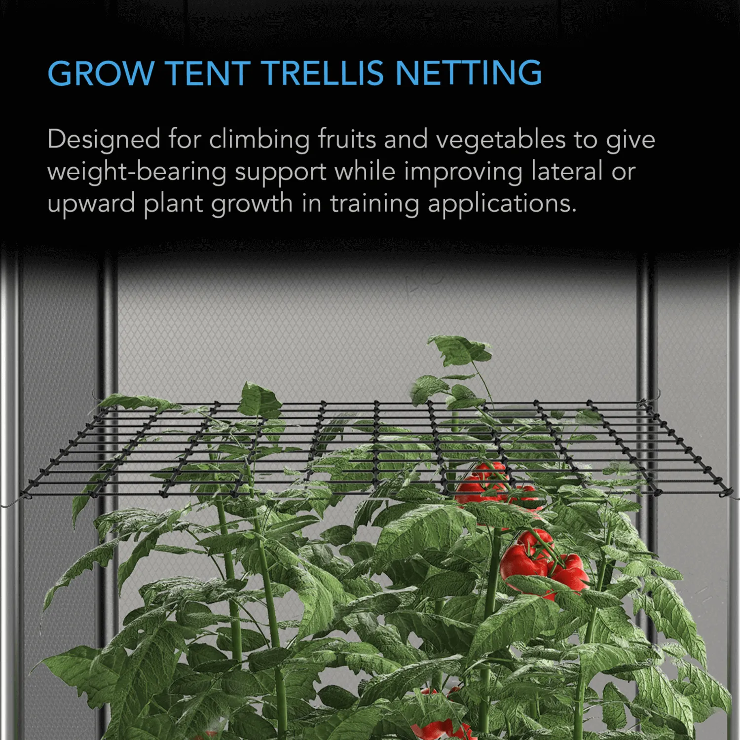 AC Infinity Grow Tent Trellis Netting, Flexible Elastic Cords, 2x2'